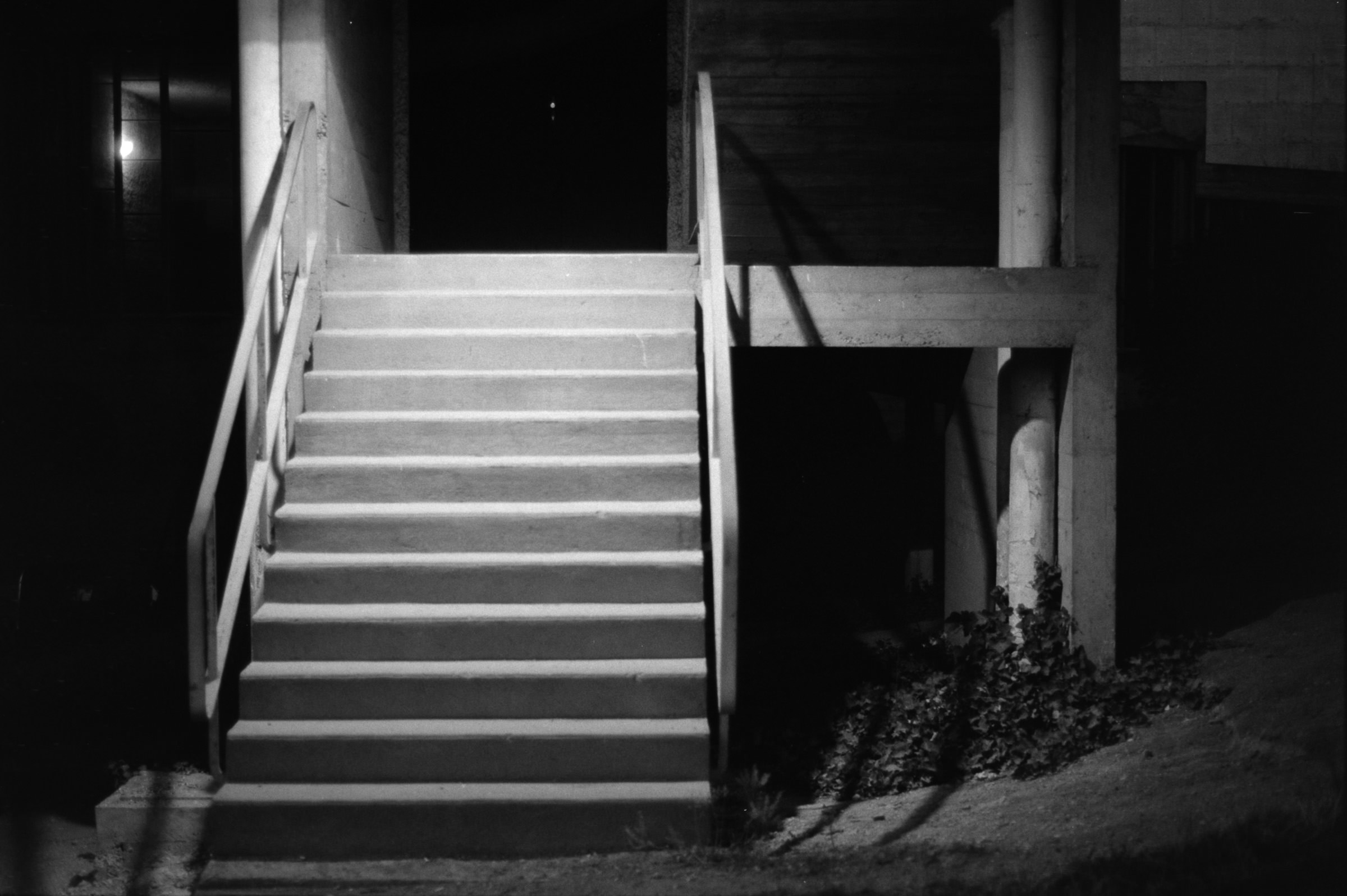 AHP F1993 08 001 sc240823 img34 NLP